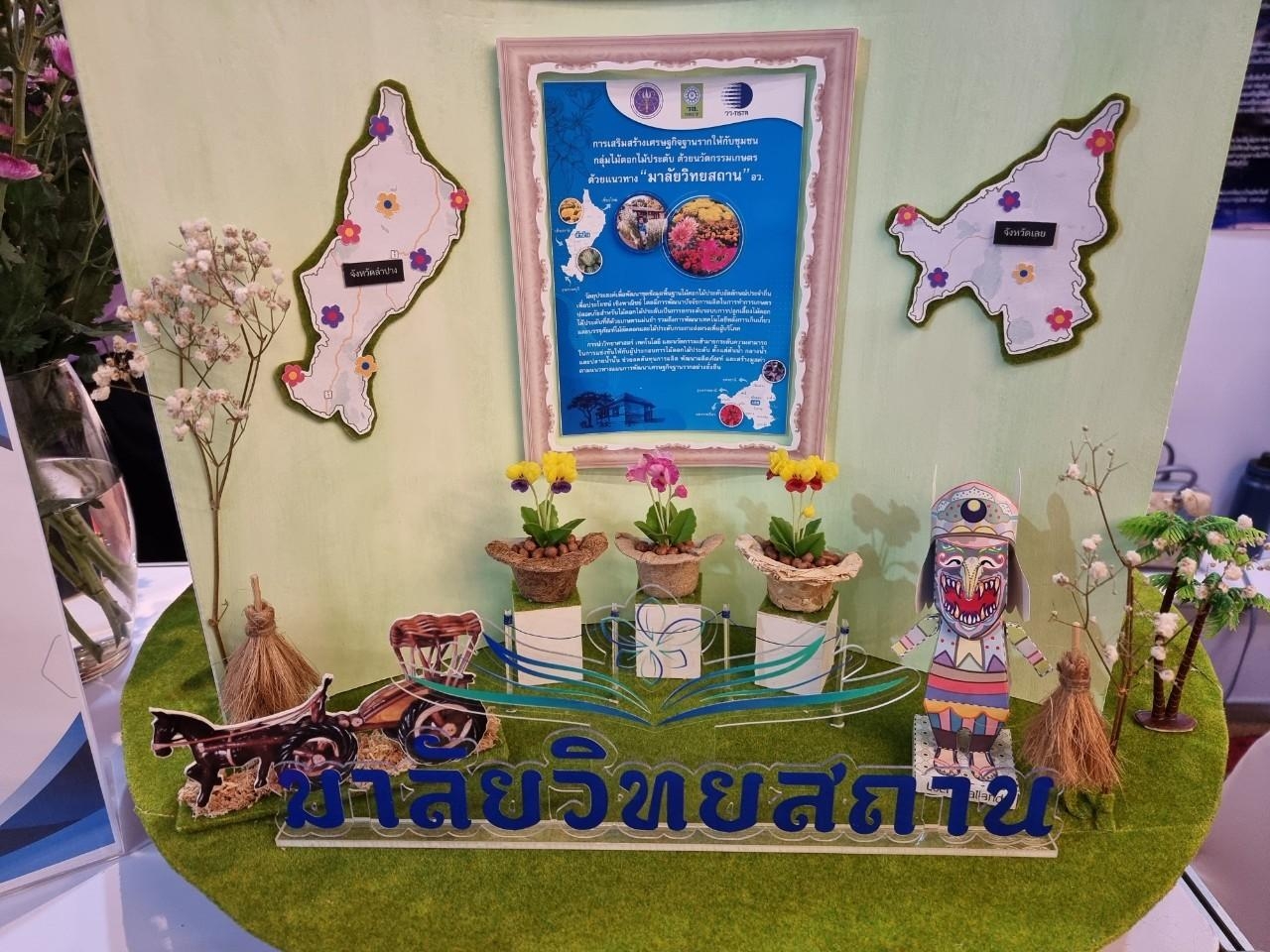 มาลัยวิทยสถาน ไม้ดอกไม้ประดับ รูปภาพ
