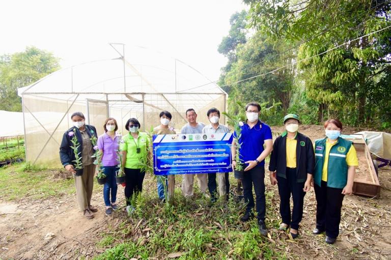 มาลัยวิทยสถาน ไม้ดอกไม้ประดับ รูปภาพ