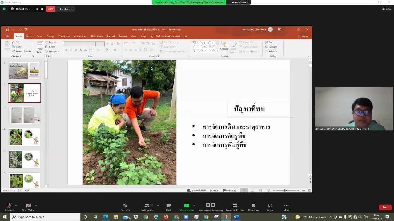 มาลัยวิทยสถาน ไม้ดอกไม้ประดับ รูปภาพ