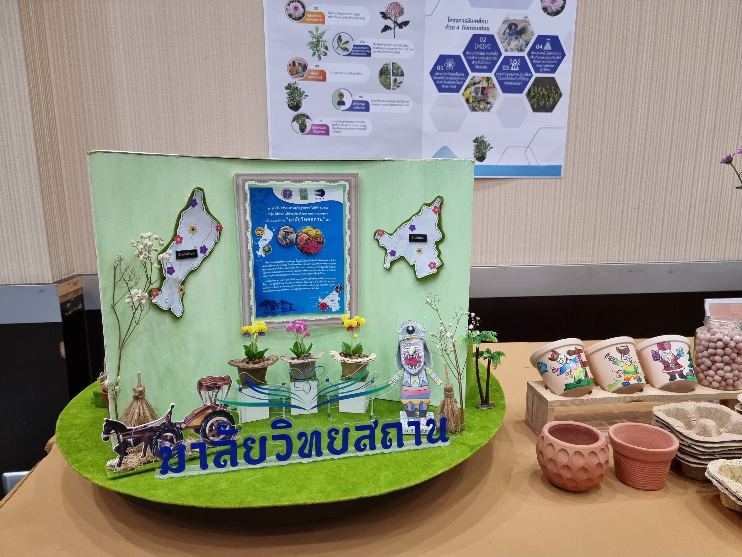มาลัยวิทยสถาน ไม้ดอกไม้ประดับ รูปภาพ