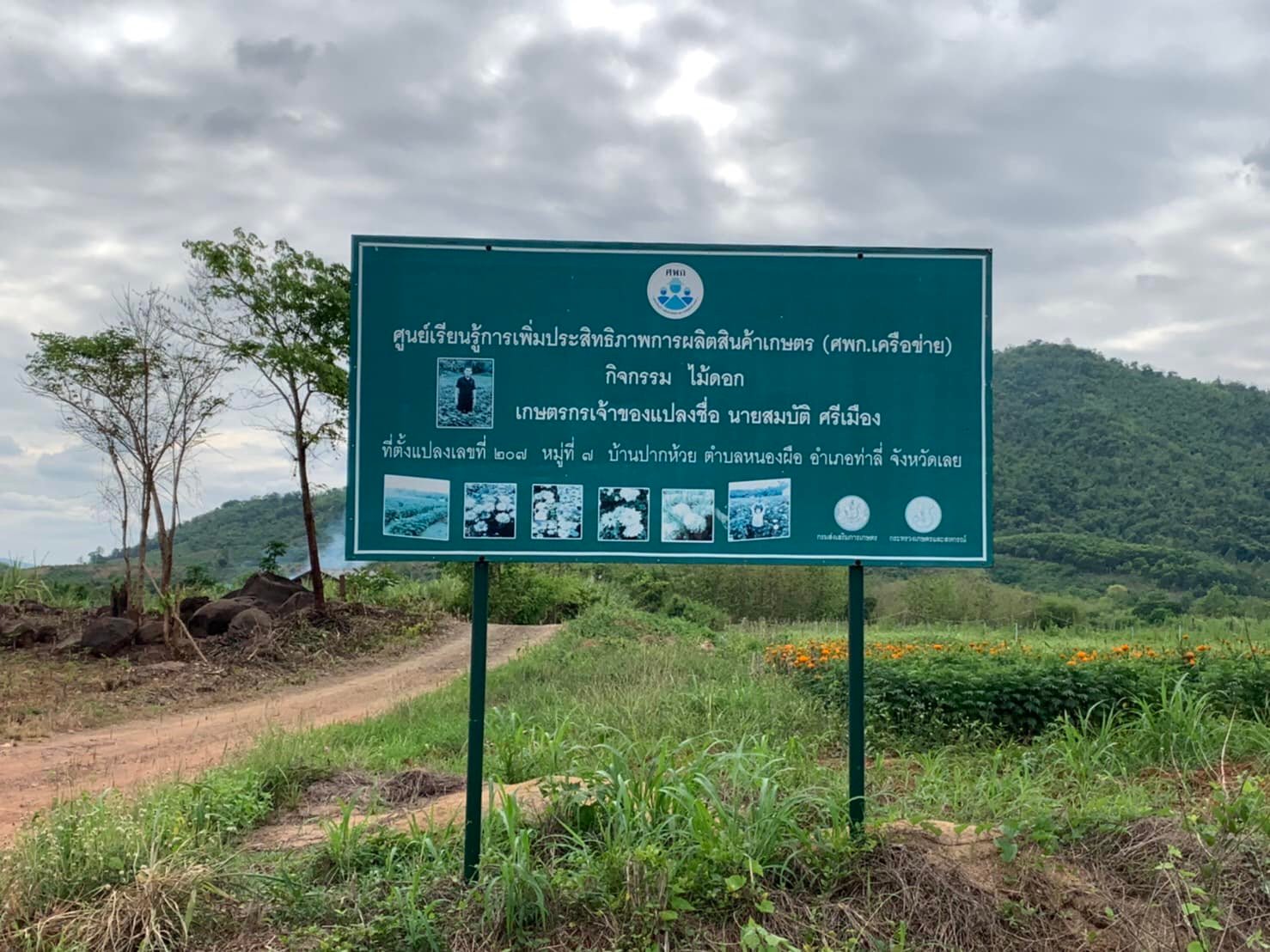 มาลัยวิทยสถาน ไม้ดอกไม้ประดับ รูปภาพ