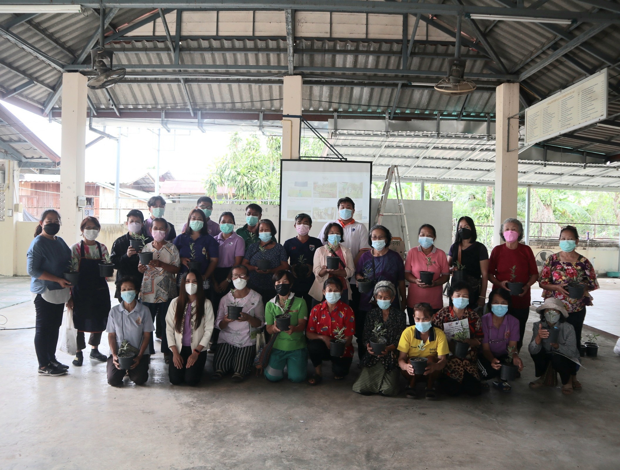 มาลัยวิทยสถาน ไม้ดอกไม้ประดับ รูปภาพ