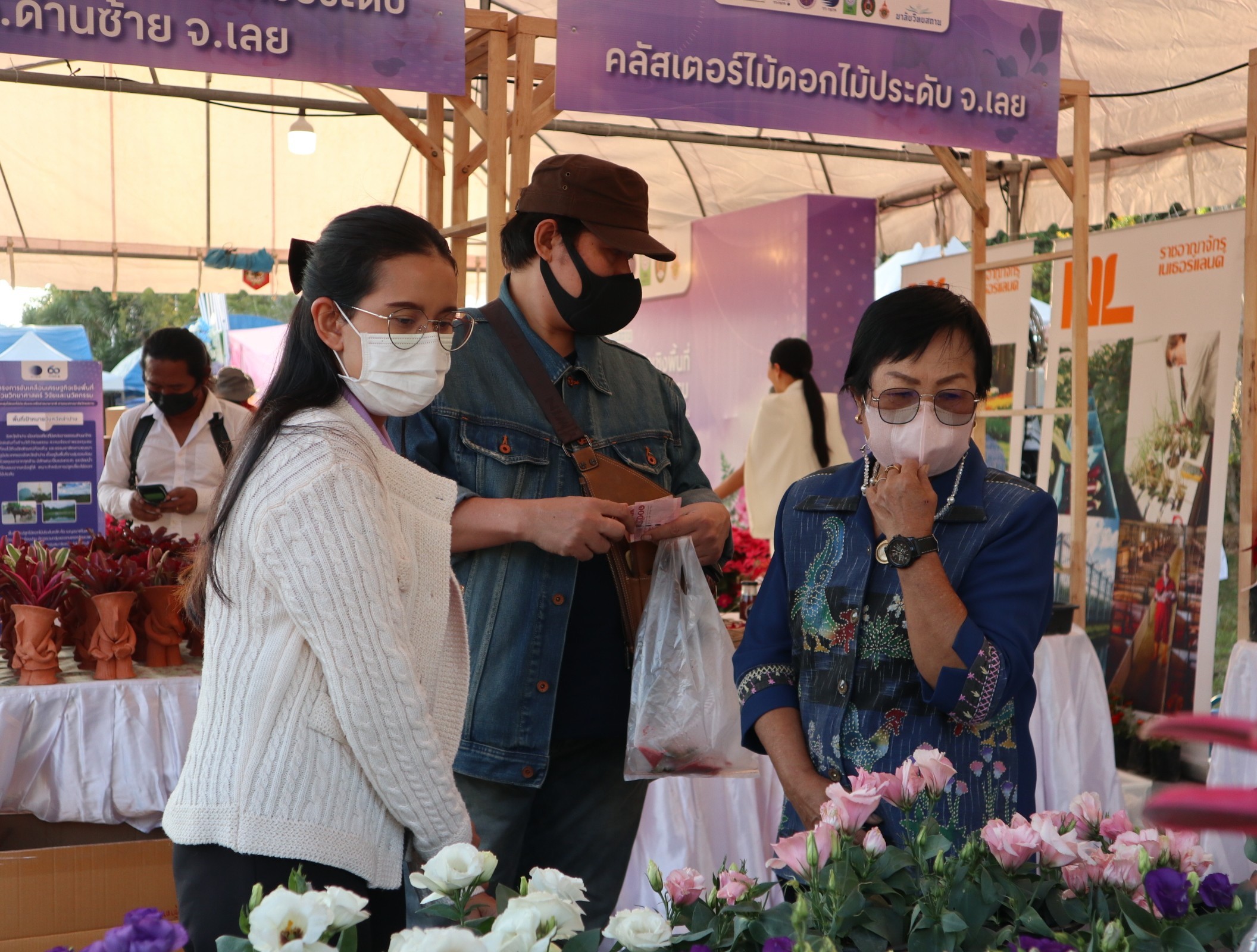 มาลัยวิทยสถาน ไม้ดอกไม้ประดับ รูปภาพ