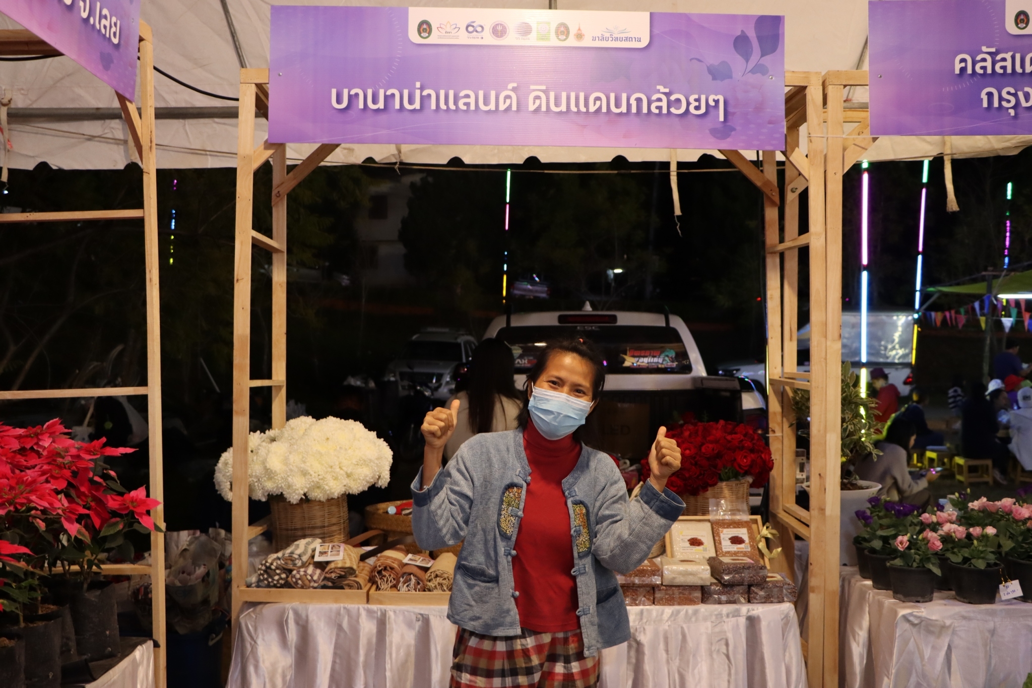 มาลัยวิทยสถาน ไม้ดอกไม้ประดับ รูปภาพ