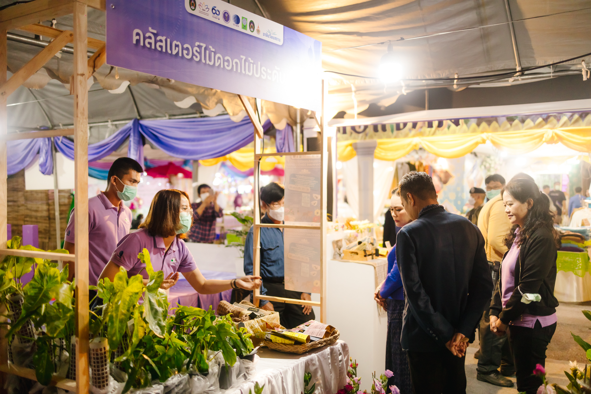 มาลัยวิทยสถาน ไม้ดอกไม้ประดับ รูปภาพ